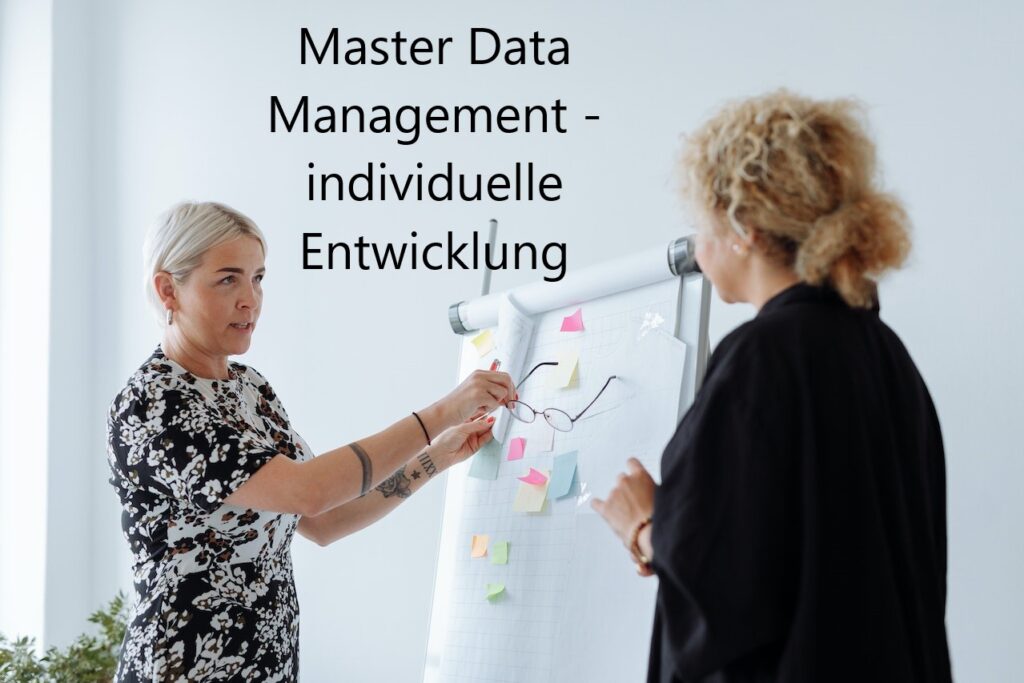 sap master data management vs individuelle softwareentwicklung